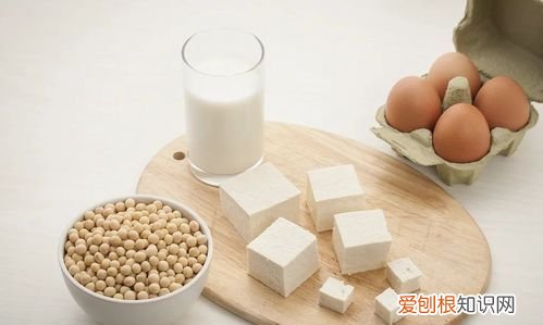 怎么吃够一天的蛋白质