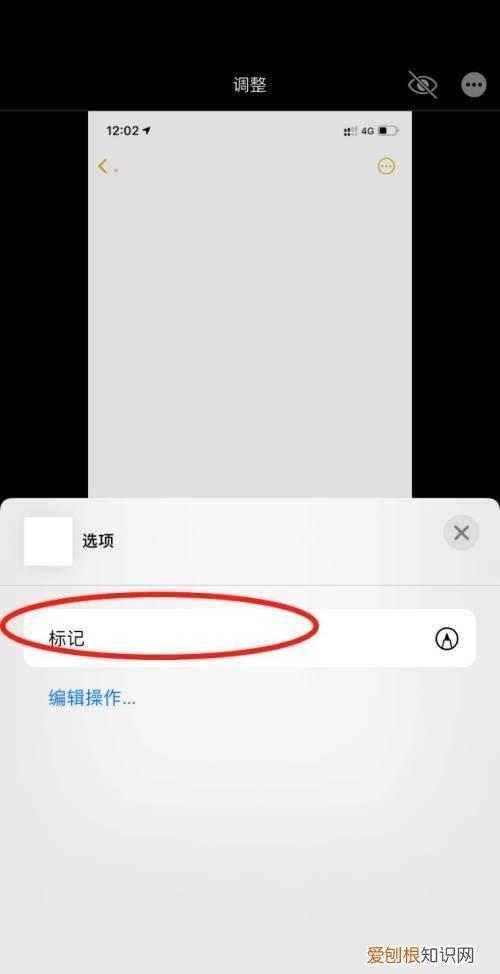 拍的怎么加文字,苹果相册怎么添加文字
