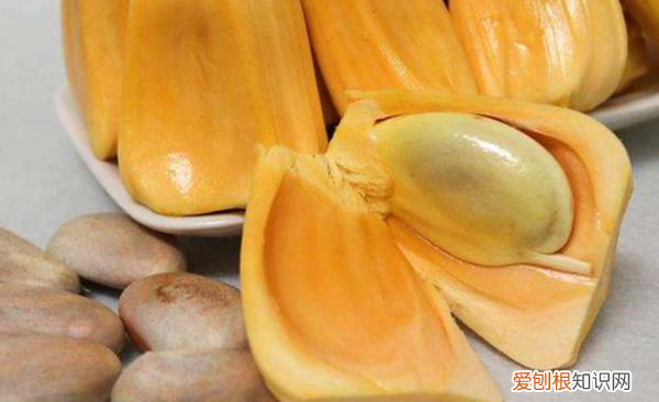 菠萝蜜的种子能吃吃了有什么用,菠萝蜜的籽吃了有什么功效和作用