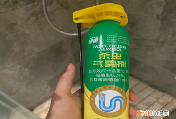 屋子里的小飞虫怎么去除，家里有很多小飞虫怎么彻底消灭