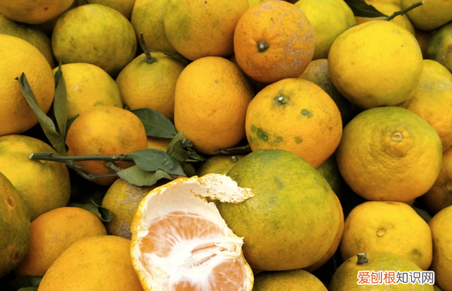 柑橘上有虫眼是什么虫害 柑桔里面的白色虫子怎么治