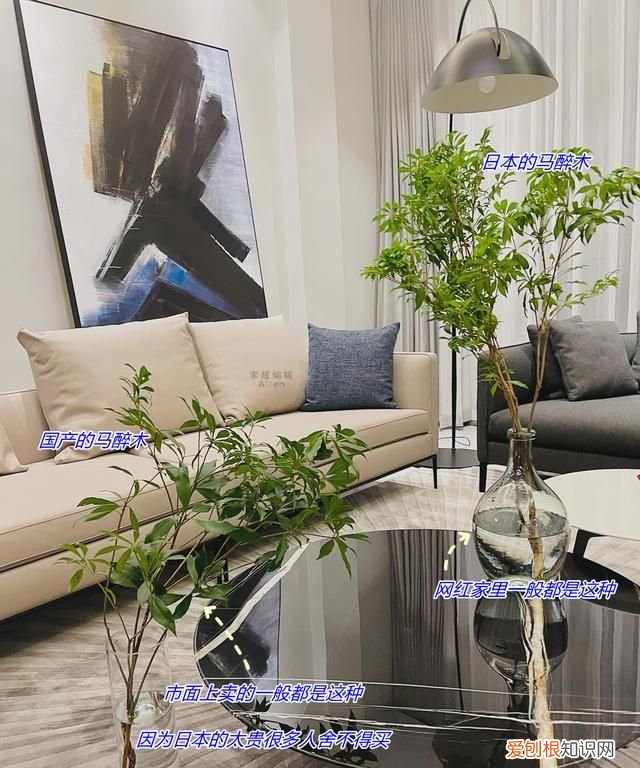 这些网红家居设计中看不中用