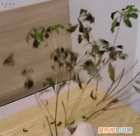 这些网红家居设计中看不中用