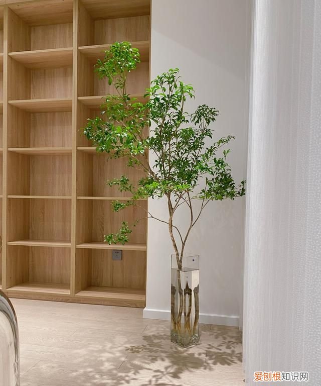 这些网红家居设计中看不中用