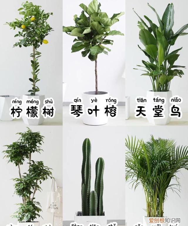 这些网红家居设计中看不中用