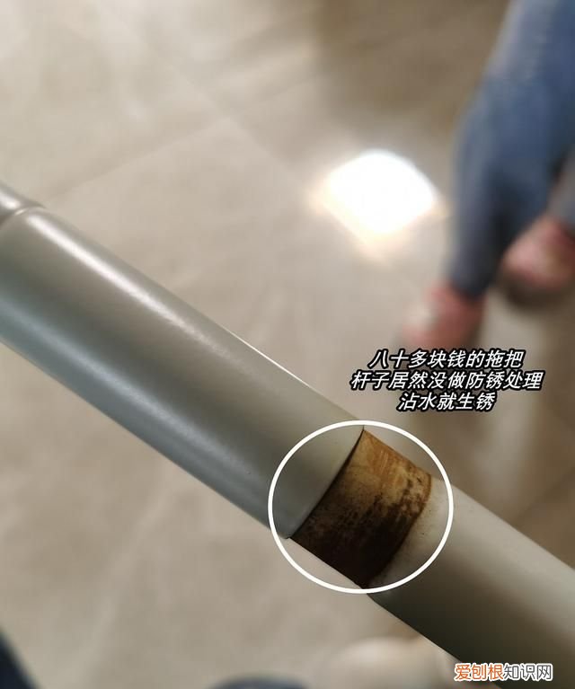 这些网红家居设计中看不中用