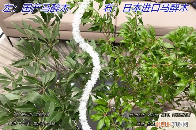 这些网红家居设计中看不中用