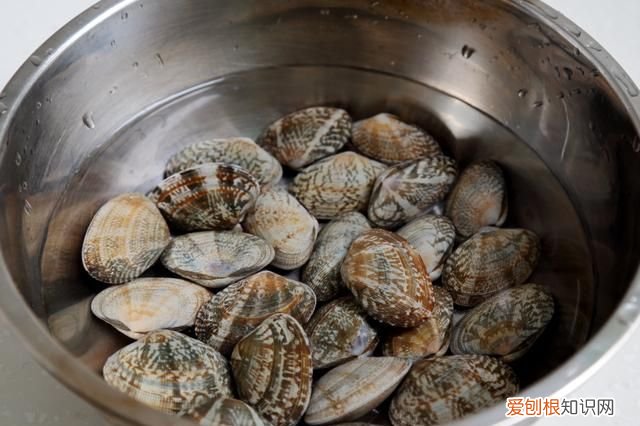 花蛤先焯水还是直接炒