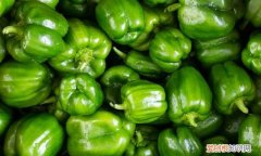 青椒的贮藏保鲜法,青椒的储存方法和温度