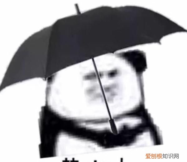 三十晚上吃饺子有什么讲究,夜晚吃饺子的讲究