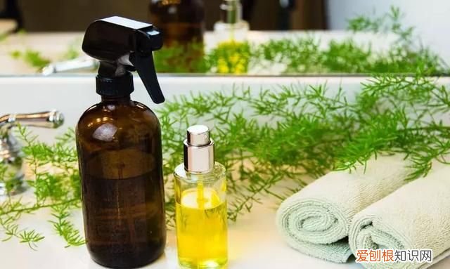 原来这六样东西可以带上飞机