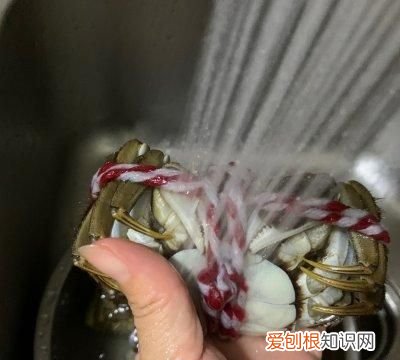 如何清蒸大闸蟹好吃又简单,怎么清蒸大闸蟹比较好吃