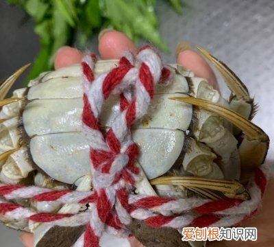 如何清蒸大闸蟹好吃又简单,怎么清蒸大闸蟹比较好吃