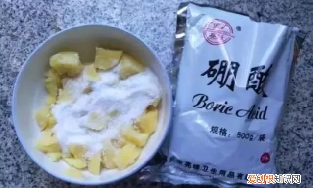 家有蟑螂怎样才能除尽小妙招,怎么消灭老鼠蟑螂蚊子的小妙招