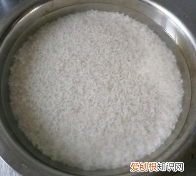 包了30年的碱水粽香甜q弹软糯