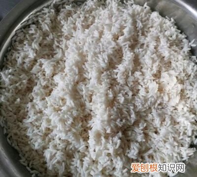 包了30年的碱水粽香甜q弹软糯