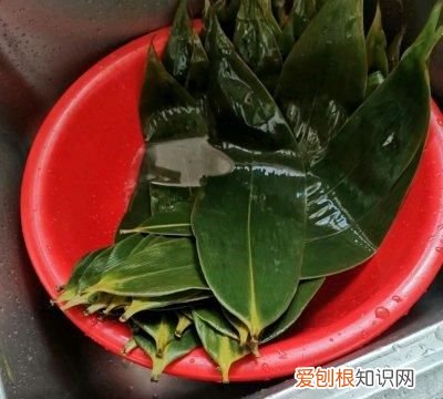 包了30年的碱水粽香甜q弹软糯