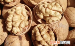 核桃怎么吃更养生，核桃怎么煮好吃又入味