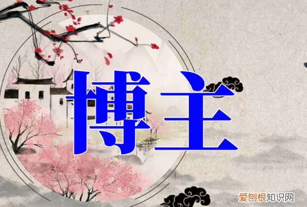 博主是什么意思