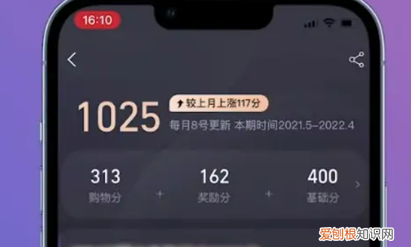 淘宝淘气值在哪看，在哪里可以看淘气值