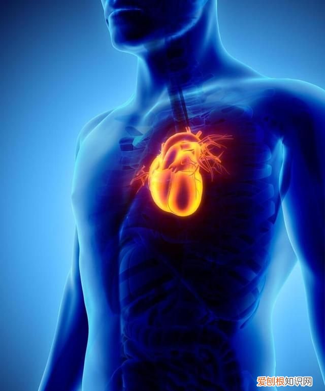 红薯尽量要少吃,最好不吃,知道为什么吗?