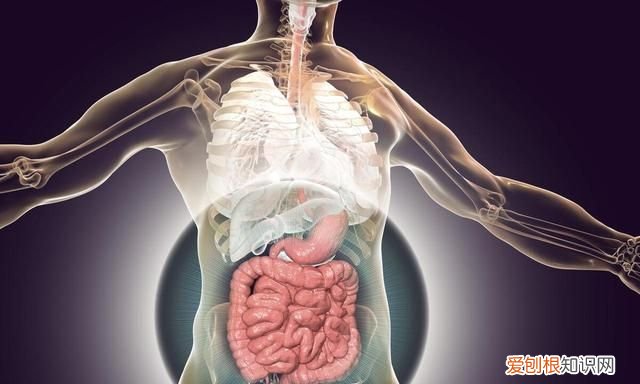 红薯尽量要少吃,最好不吃,知道为什么吗?