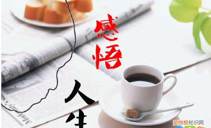 生活感悟的句子致自己简短,生活的感悟 生活的感悟有什么