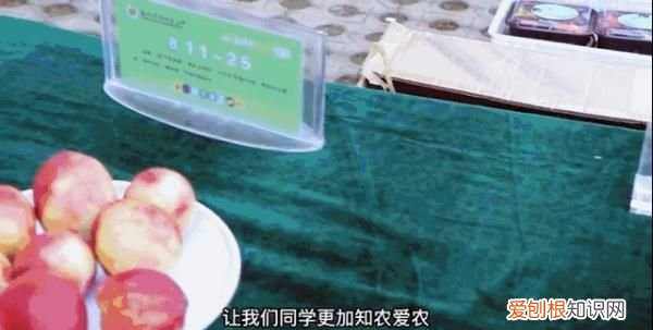 深圳荔枝免费吃的大学