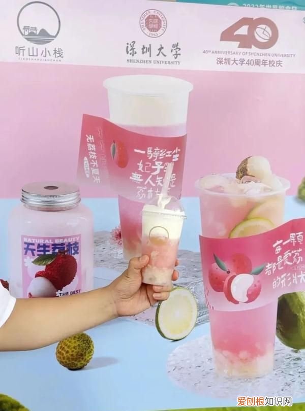 深圳荔枝免费吃的大学