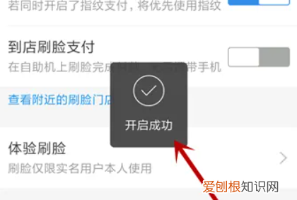 支付宝刷脸支付怎么使用，超市支付宝刷脸支付怎么使用