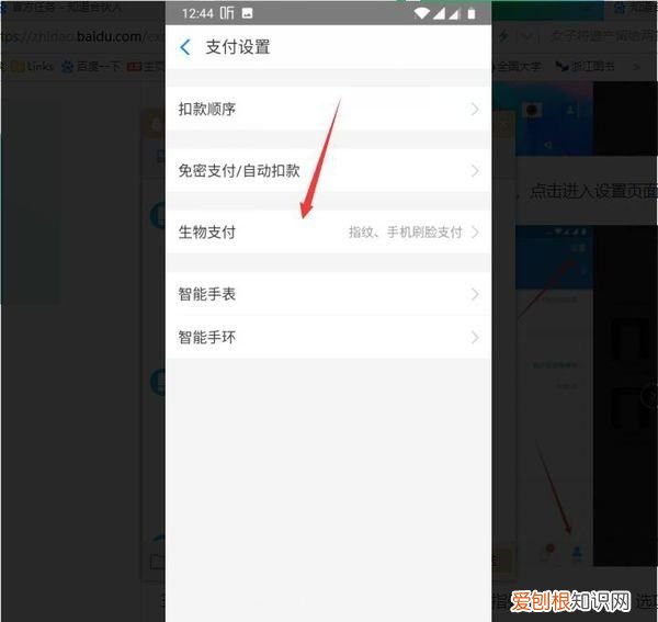 支付宝刷脸支付怎么使用，超市支付宝刷脸支付怎么使用