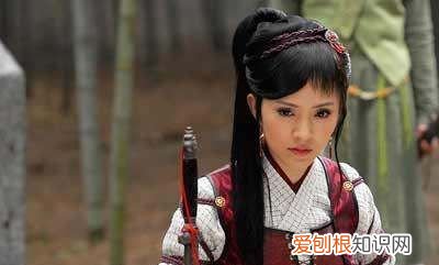 侠义神捕系列共有几部,侠义神捕之诡影剧情介绍