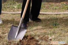 2023年车管所五一上班吗