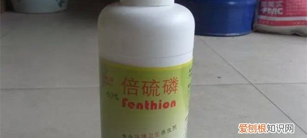 一般床上有虫用什么药，床上有臭虫用什么药最好