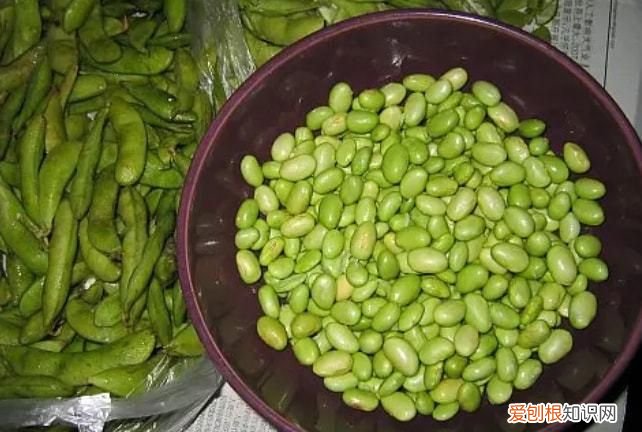 毛豆怎样保存时间更长更新鲜，毛豆子怎么保存到冬天吃新鲜