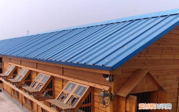 鸽棚怎么搭建合理,鸽子窝怎么搭建最好