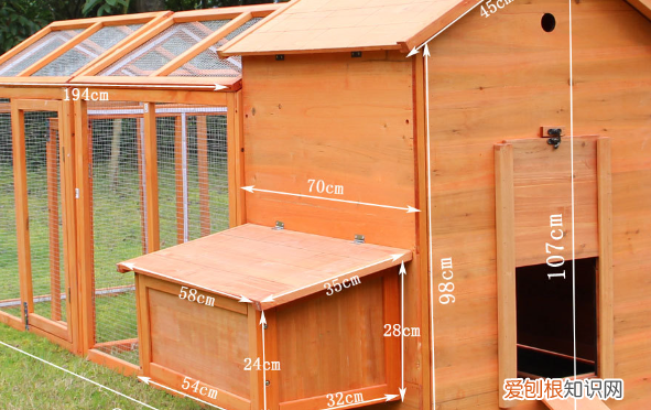 鸽棚怎么搭建合理,鸽子窝怎么搭建最好