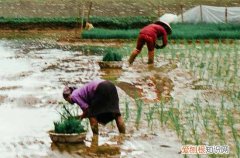 2023年五一民政局上班吗