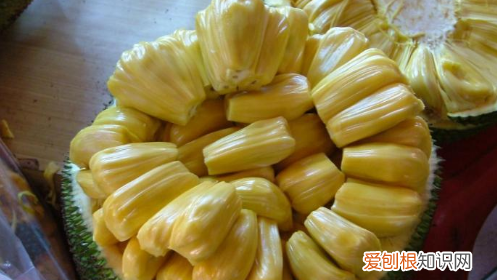 菠萝蜜的皮能吃吗怎么吃，菠萝蜜皮里面的那层薄衣可以吃