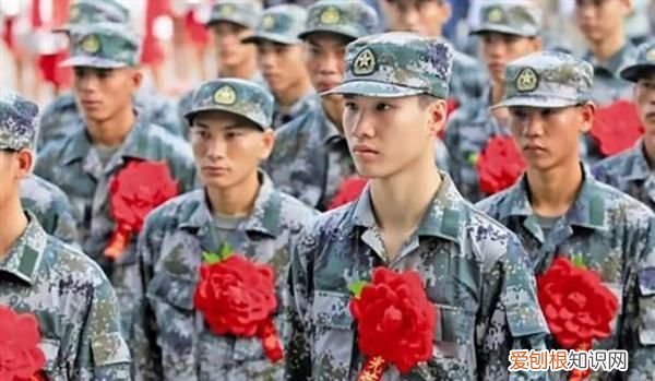 兵员预征什么意思，兵员预征是什么意思