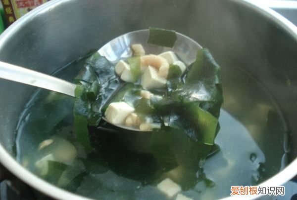 牛肉裙带菜汤的做法,牛肉裙带菜酱汤的做法