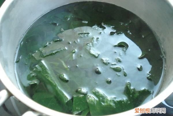 牛肉裙带菜汤的做法,牛肉裙带菜酱汤的做法