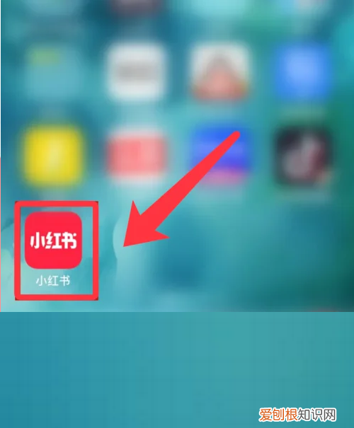 小红书怎么保存，小红书的怎么保存无水印的图片