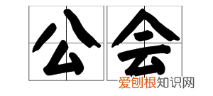 会字的部首是什么,公和会的偏旁都是人字头对
