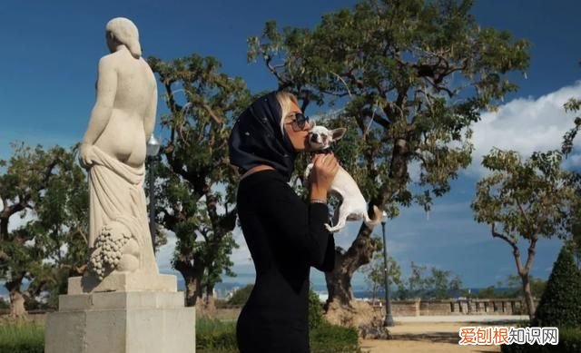 宝石袋子简笔画