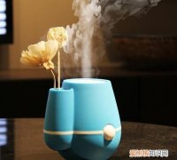 加湿器对身体有哪些害处 经常使用加湿器的危害