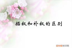 补叙和插叙的区别，插叙与补叙的区别