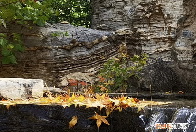 华为mate40pro+全面评测