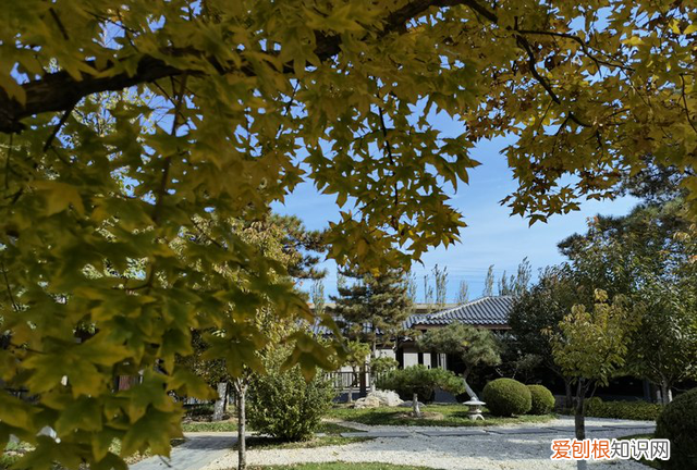 华为mate40pro+全面评测