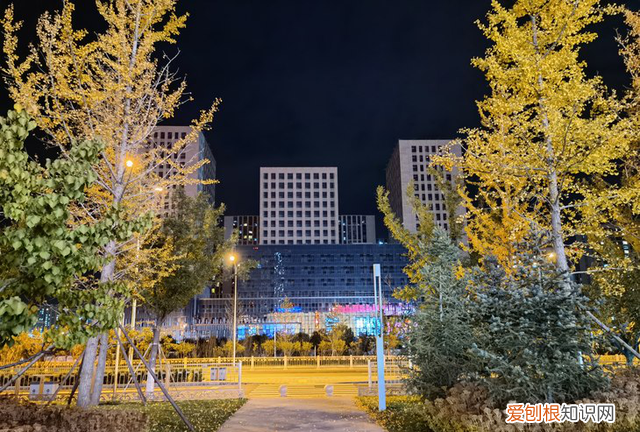 华为mate40pro+全面评测